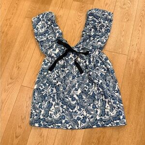 NWT Agua Bendita Libelulas Noche Horizonte Mini Dress